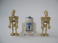 p7141-7.jpg