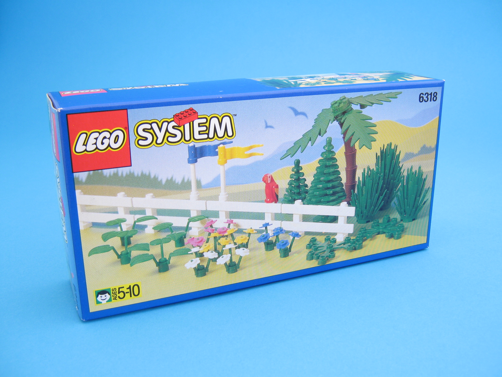 6318-1.jpg