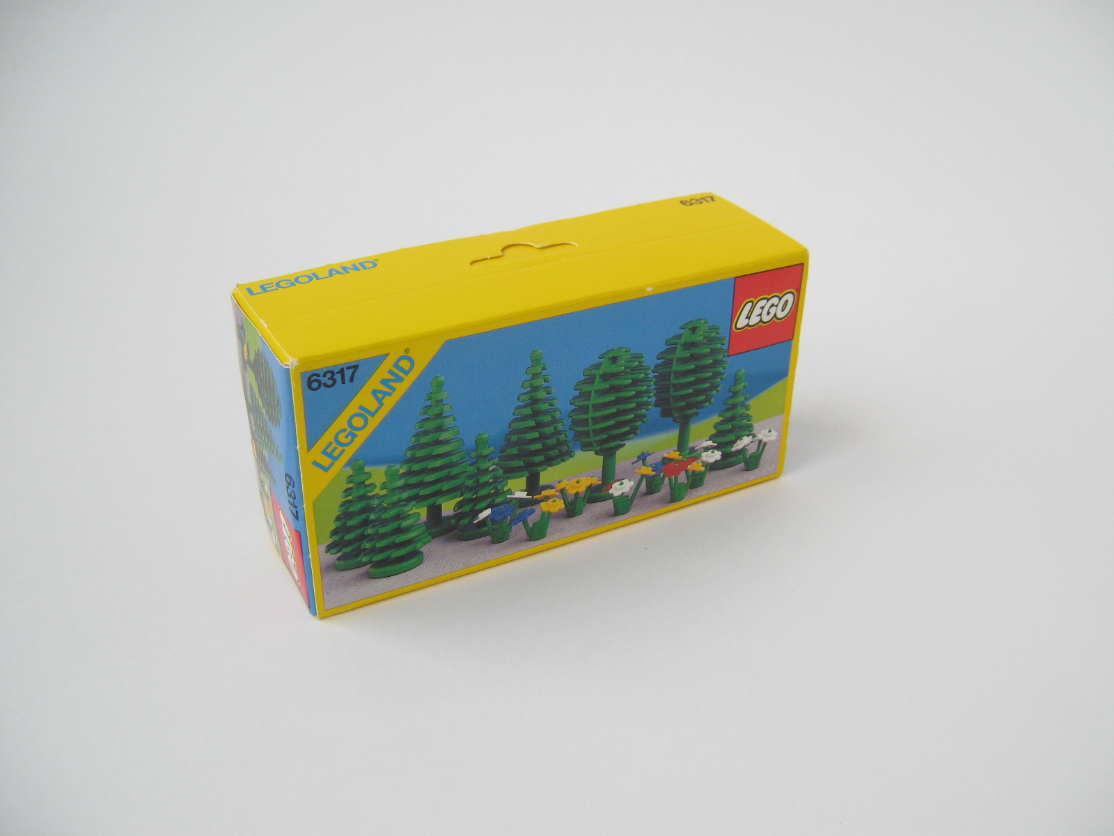 6317-2.jpg