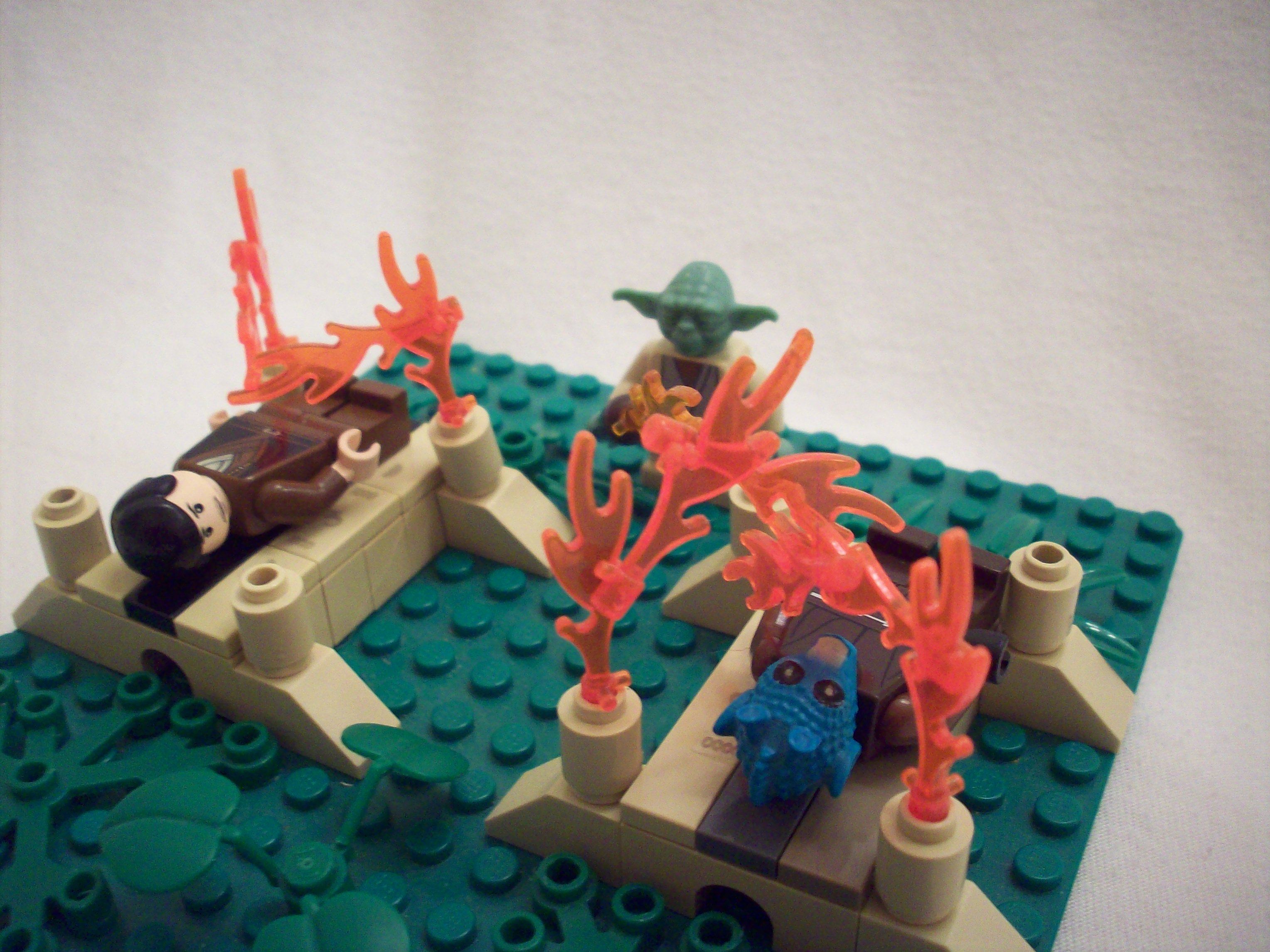 100_2531.jpg