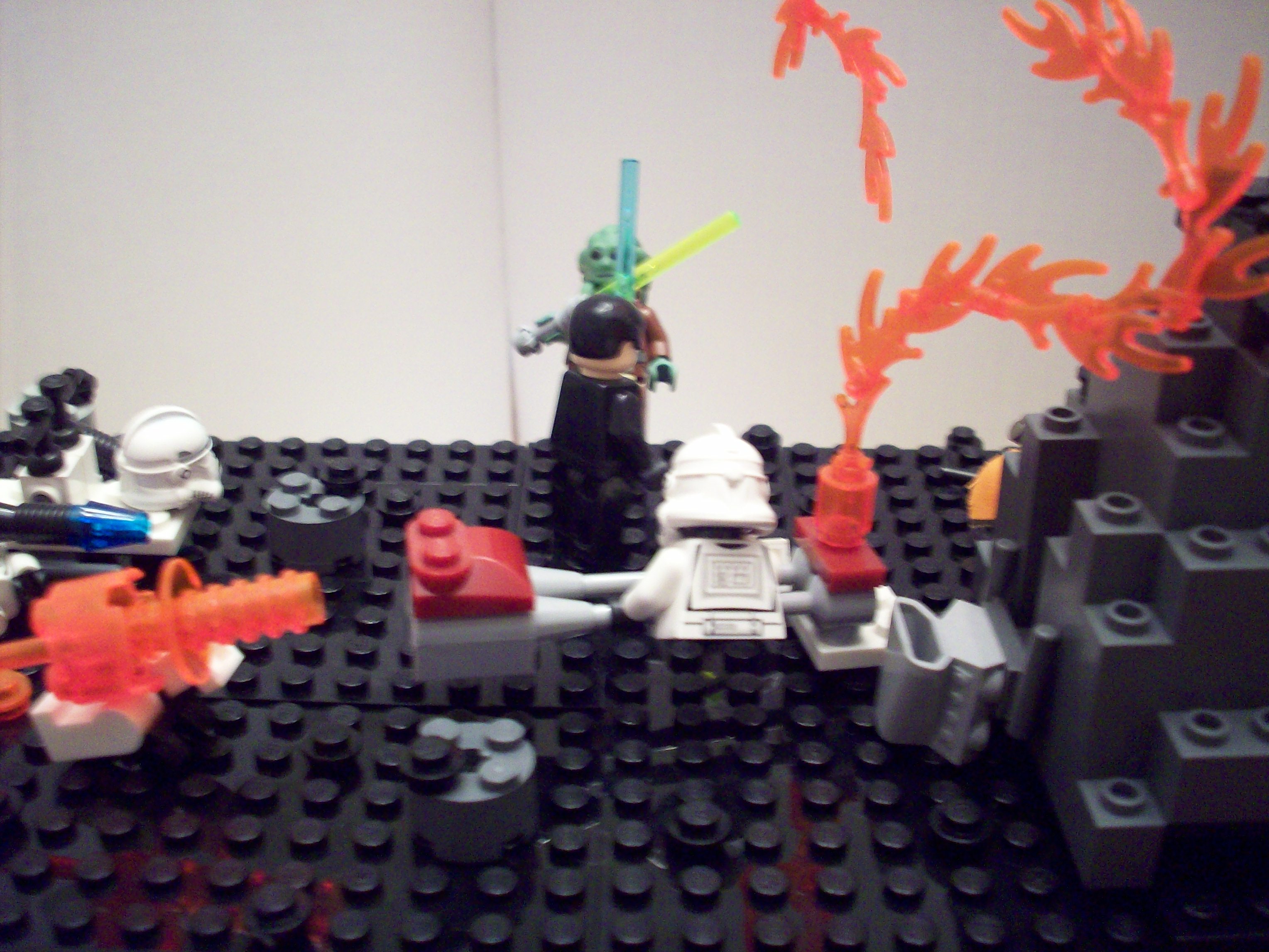 100_0339.jpg