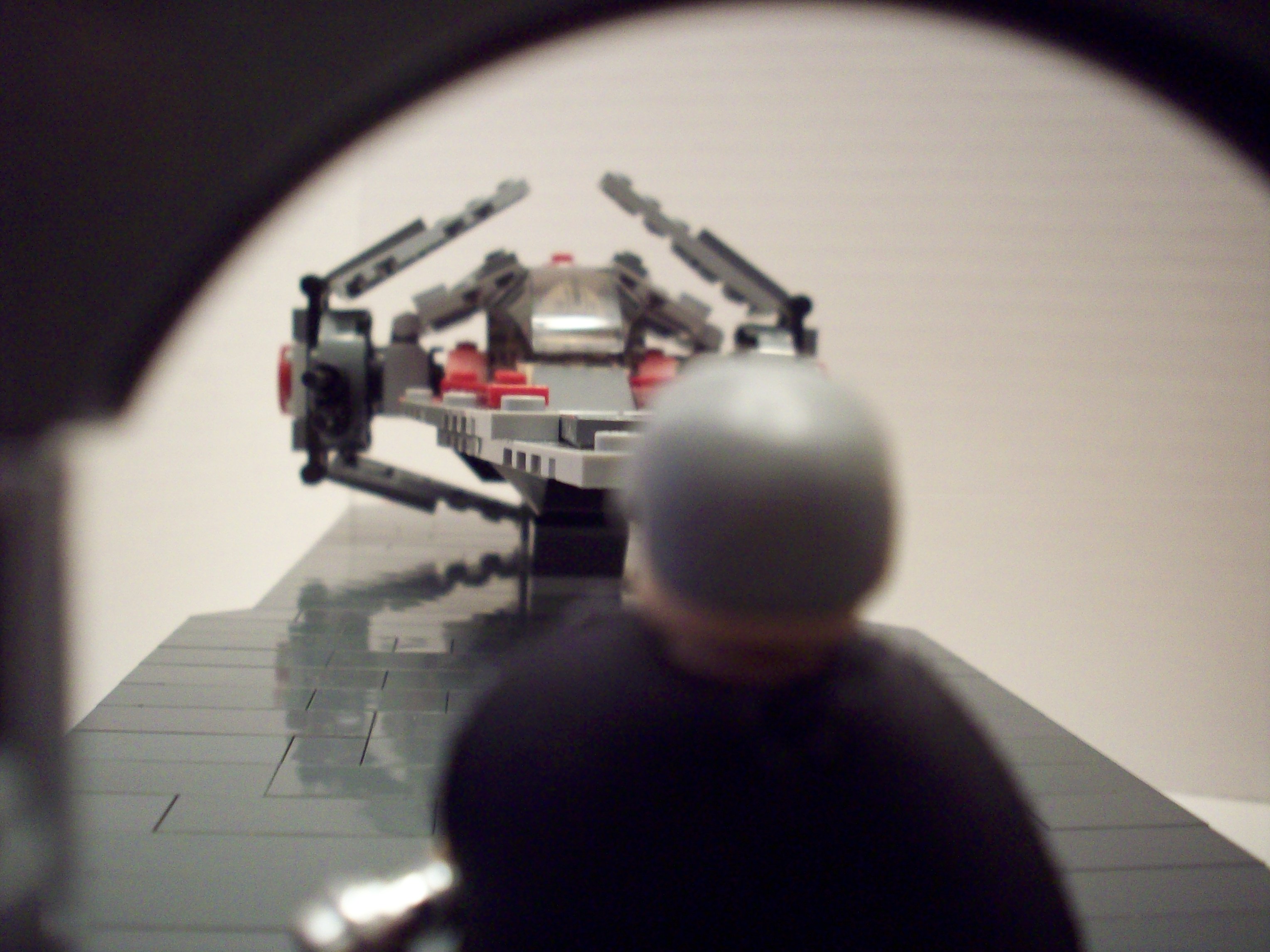 100_0419.jpg