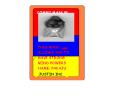 Cards