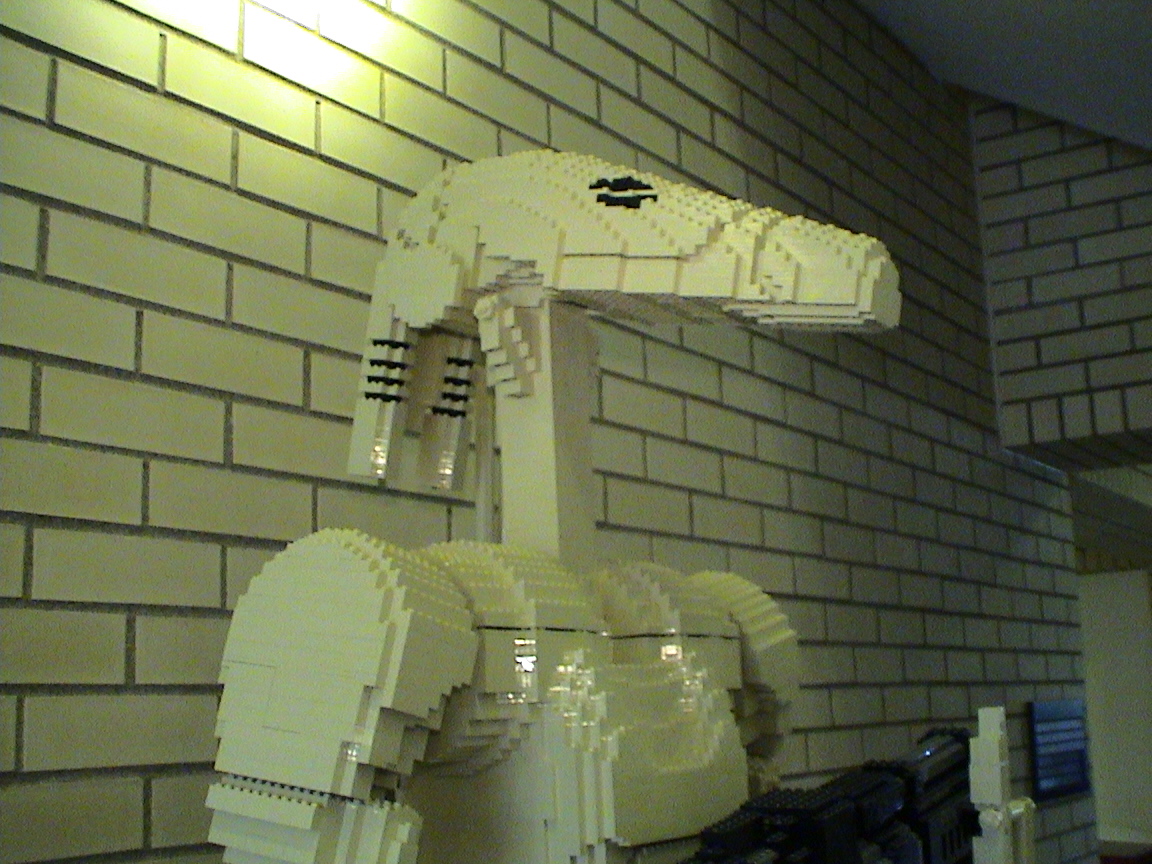 dsc00848.jpg