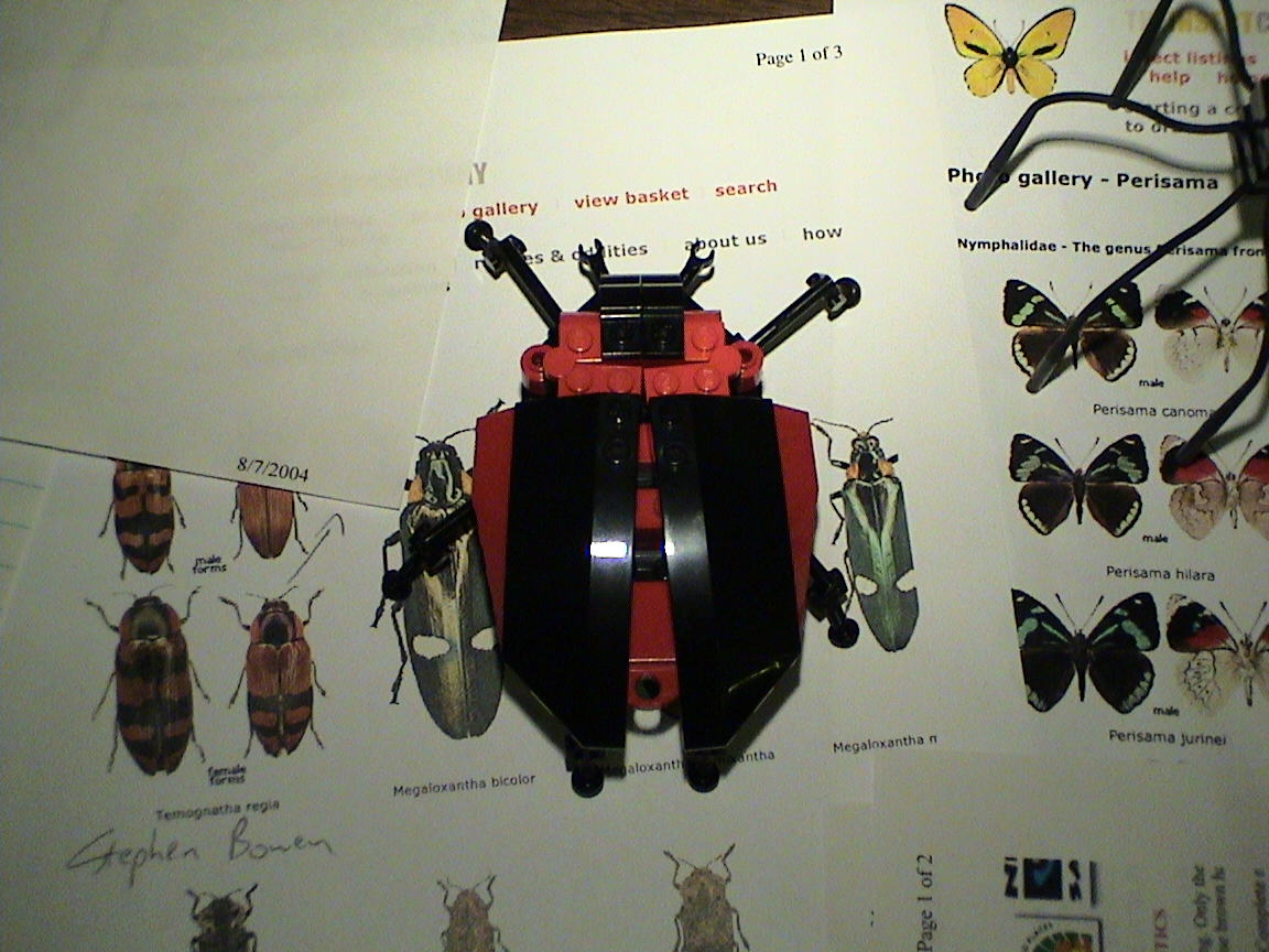 dsc00860.jpg