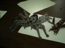 dsc00824.jpg