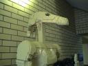 dsc00848.jpg