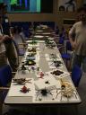dsc00875.jpg