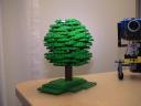 tree_prototype.jpg