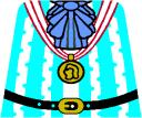 propermedal.bmp