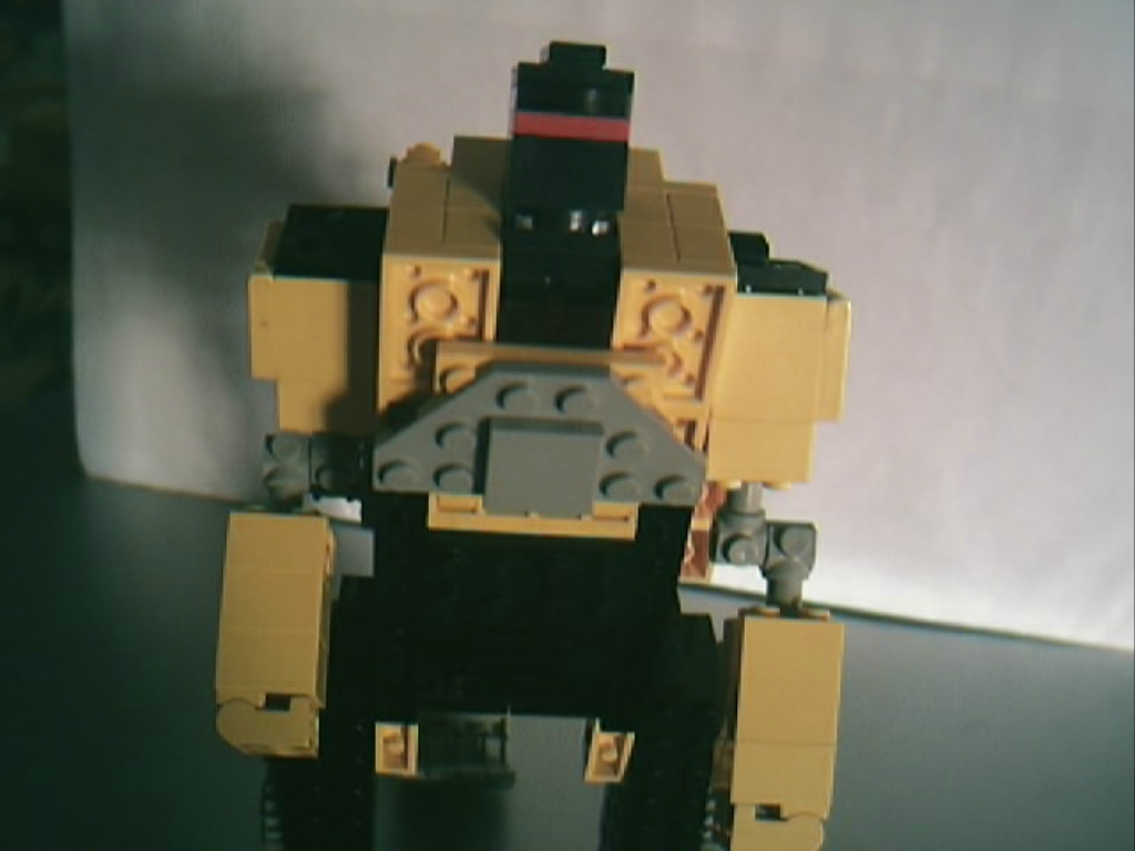 scavenger2.jpg