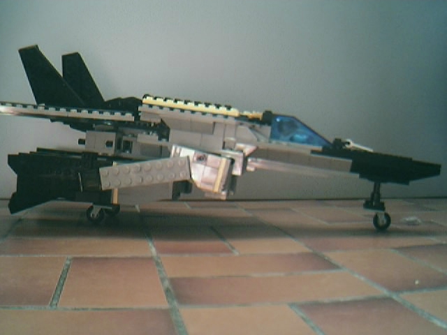 fighter.jpg
