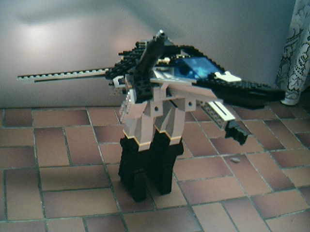 gerwalk.jpg