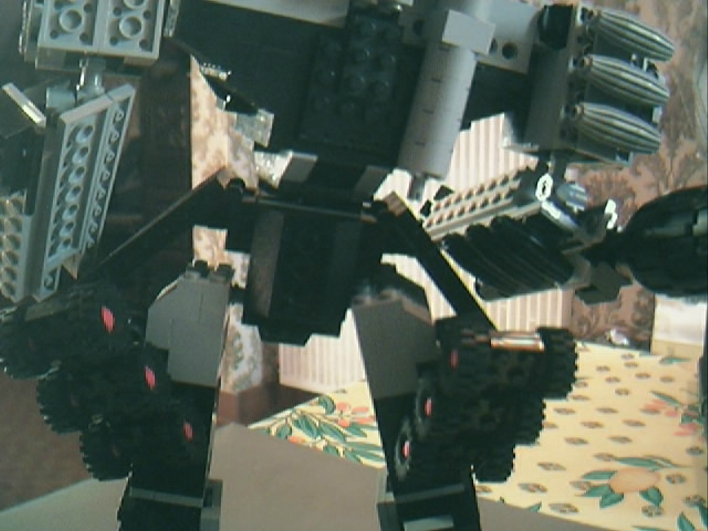back.jpg
