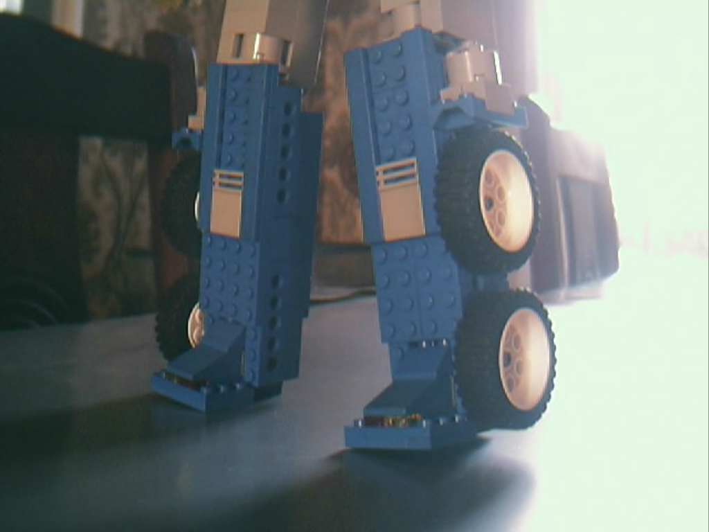 new_legs.jpg
