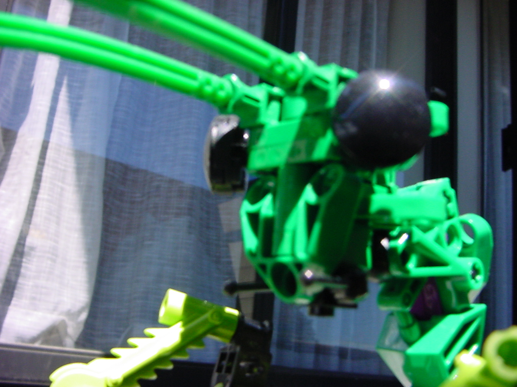 _mantid_8.jpg