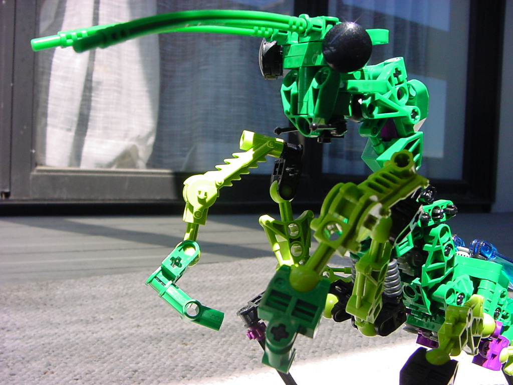 mantid_7.jpg