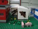 img_1426_copy.jpg