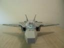 tomcat3.jpg