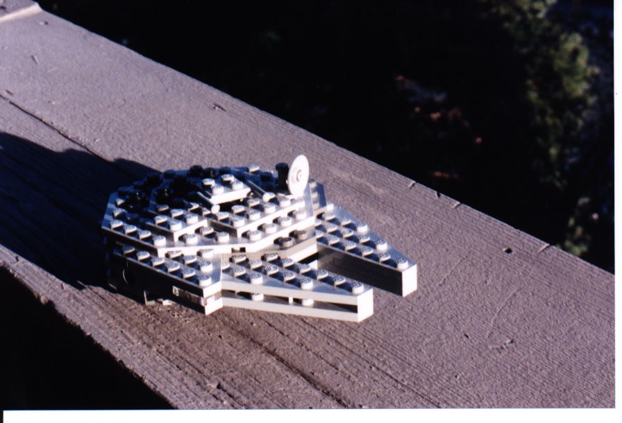 falcon2.jpg