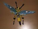 Wasp