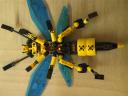 wasp7.jpg