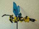 wasp8.jpg