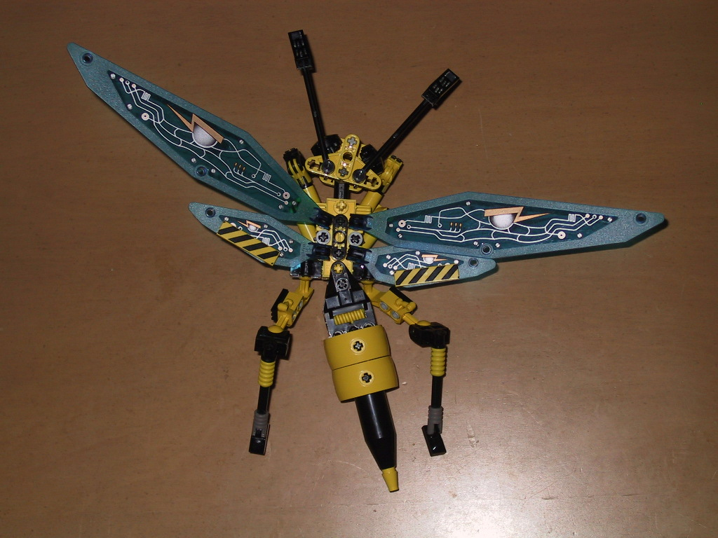 wasp1.jpg