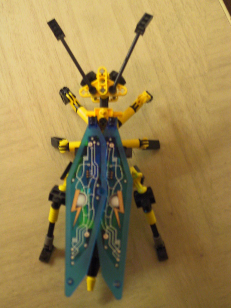 wasp11.jpg