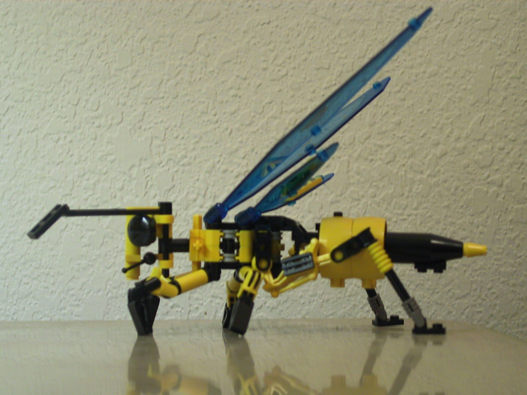 wasp12.jpg