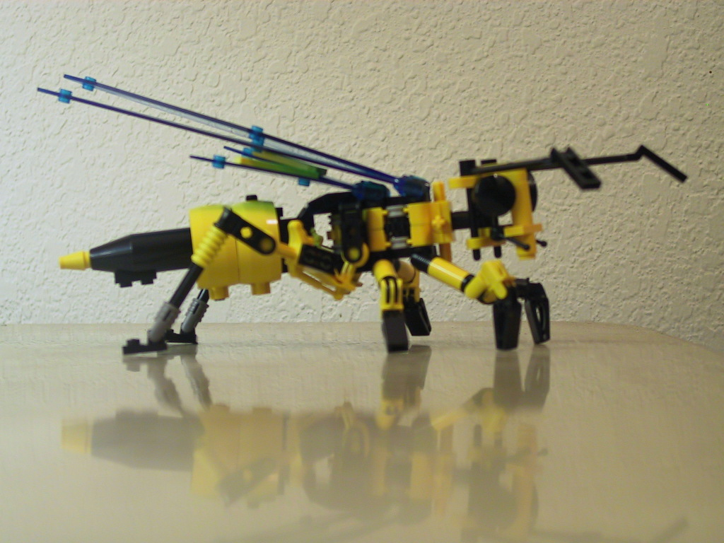 wasp5.jpg
