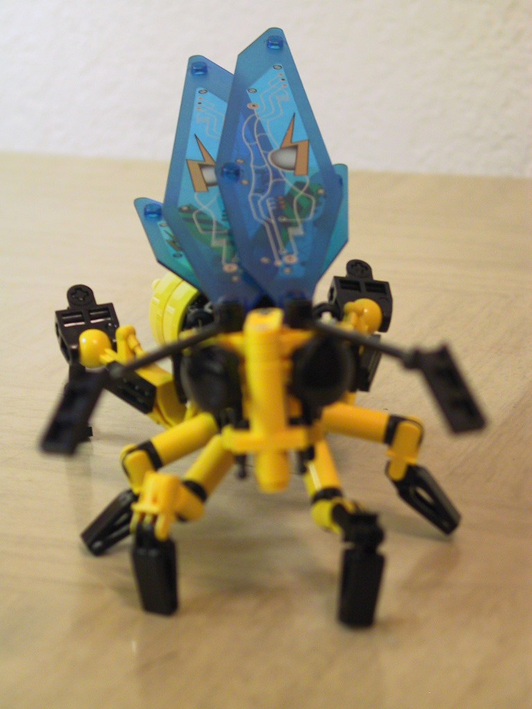 wasp6.jpg