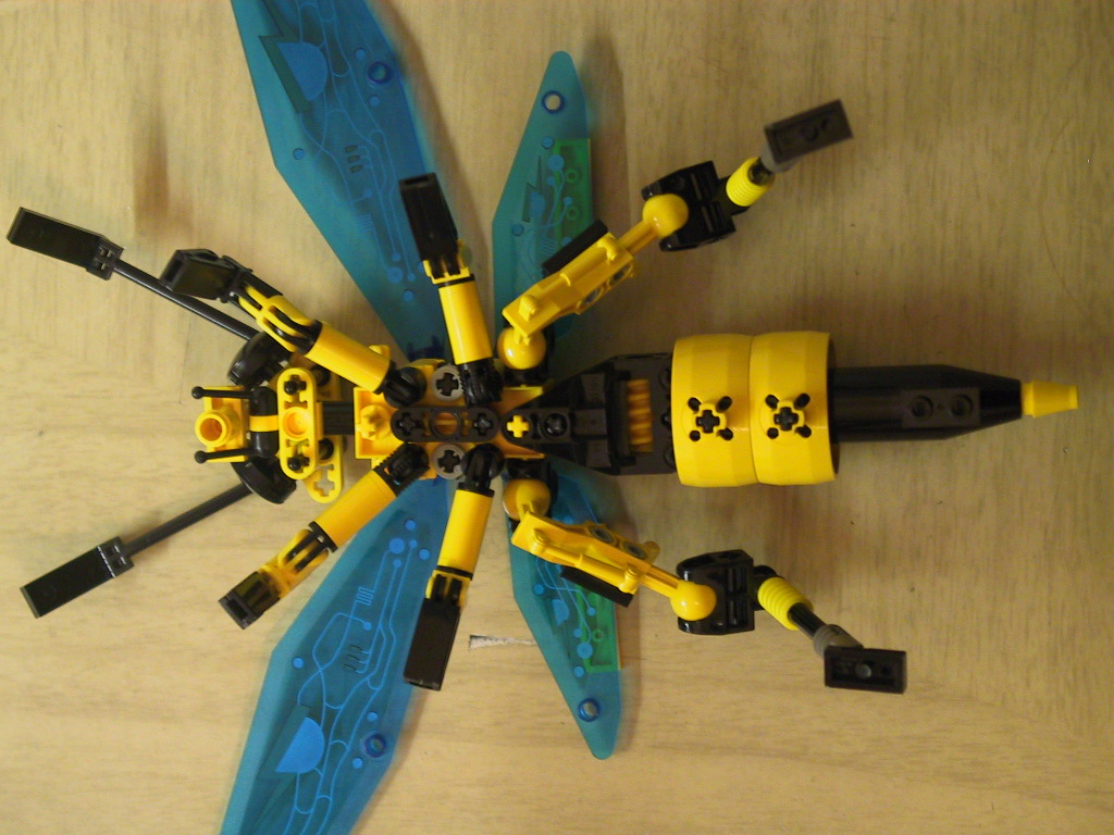 wasp7.jpg
