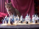protect_the_cat_1_.jpg