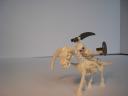 dsc02947.jpg
