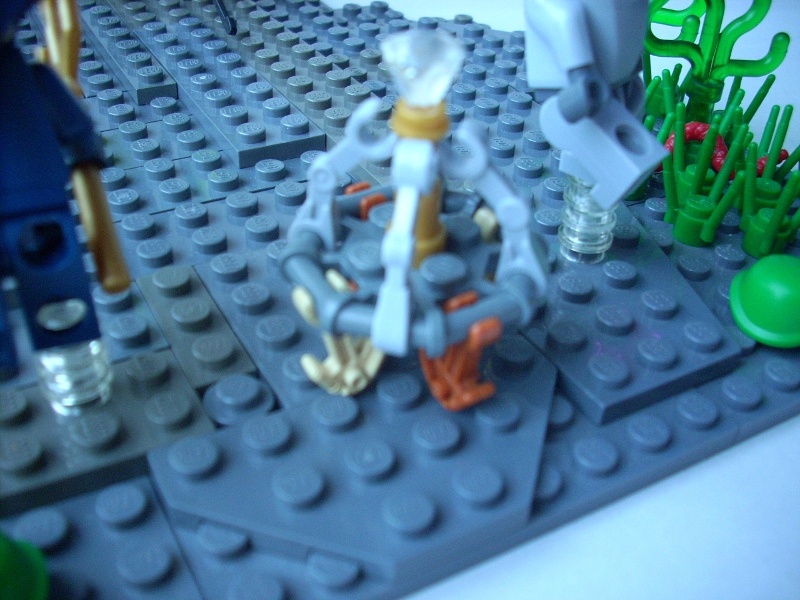 dscn6529.jpg