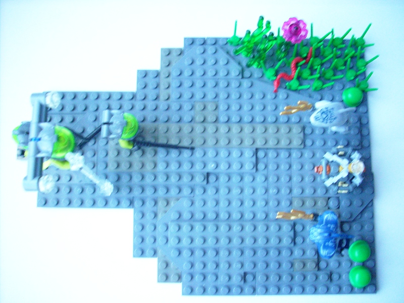 dscn6530.jpg