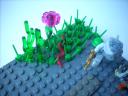 dscn6531.jpg