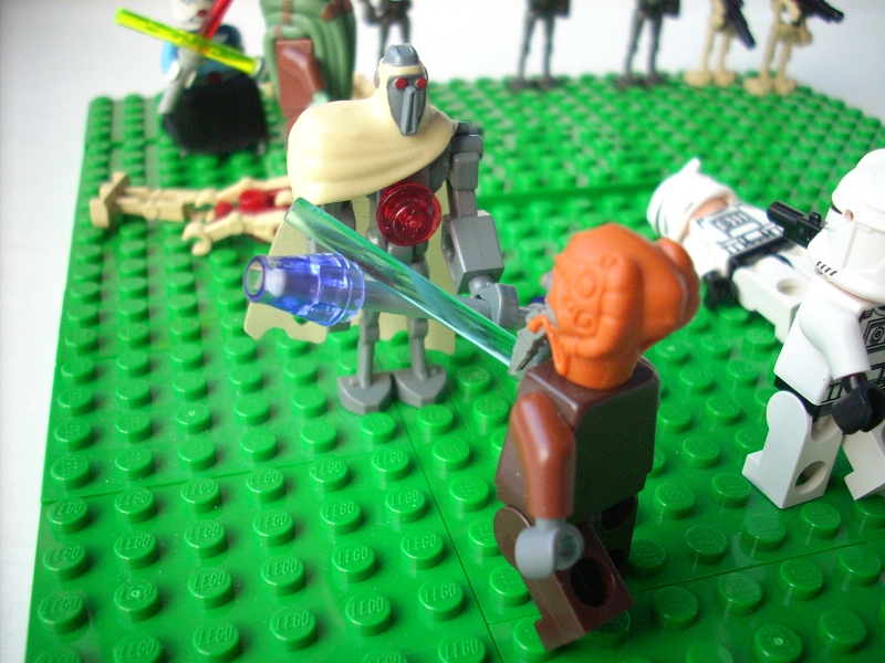 dscn6508.jpg