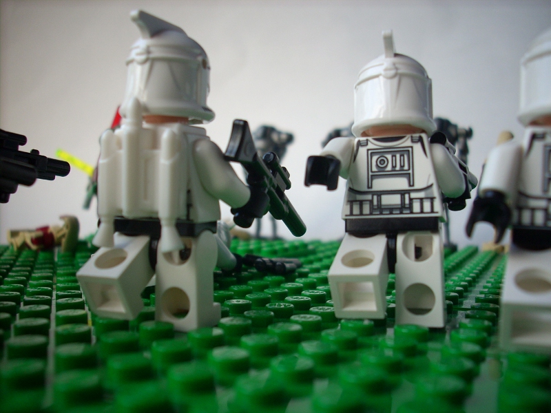 dscn6512.jpg