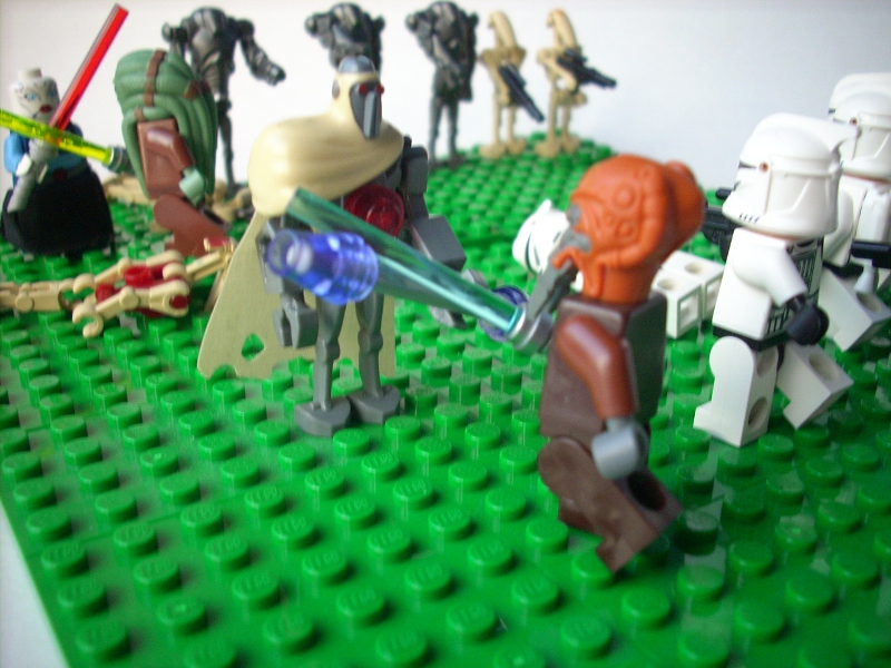 dscn6513.jpg