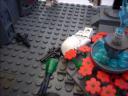 dscn5947.jpg