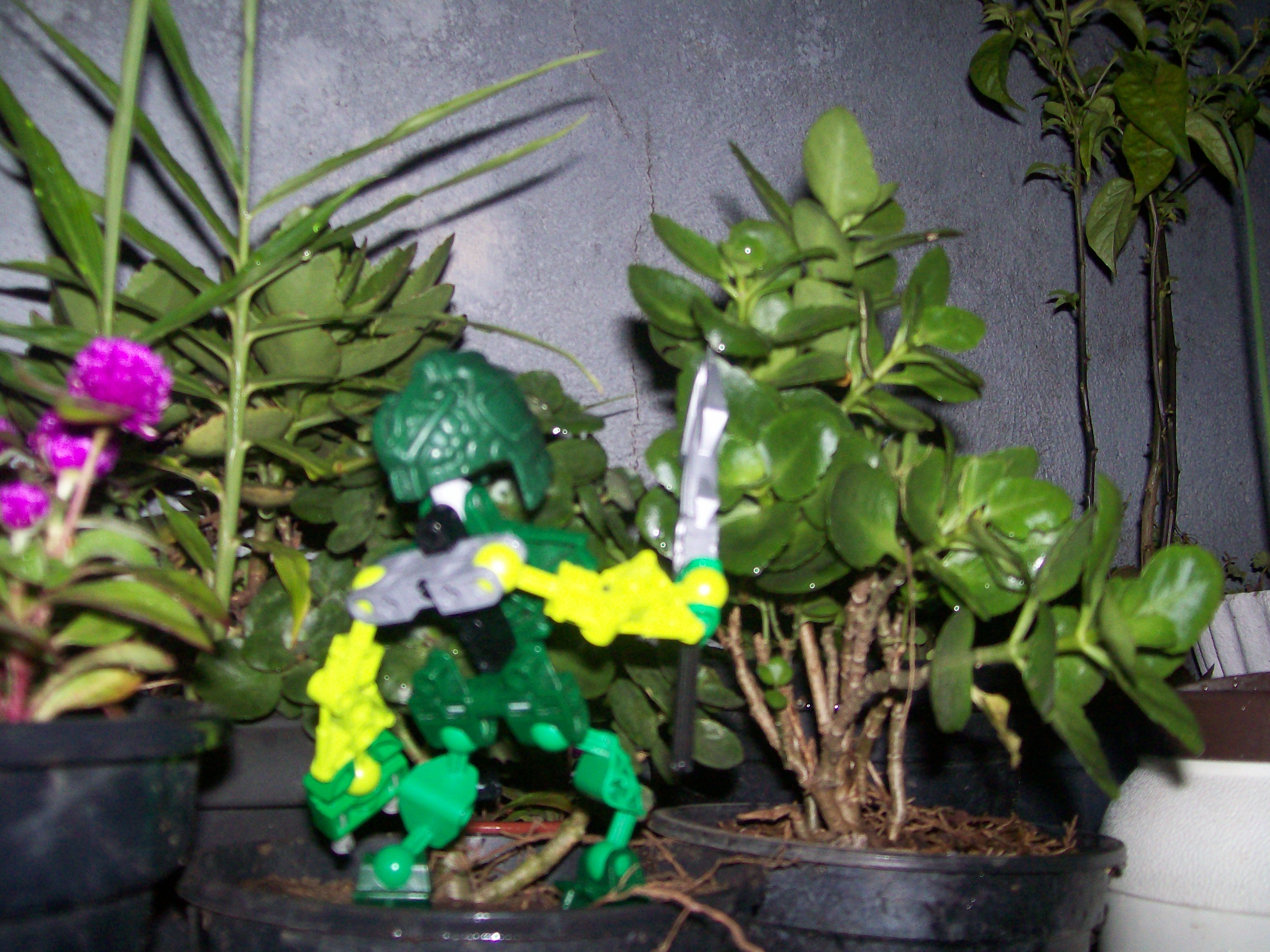 turaga_nerakk_2.jpg