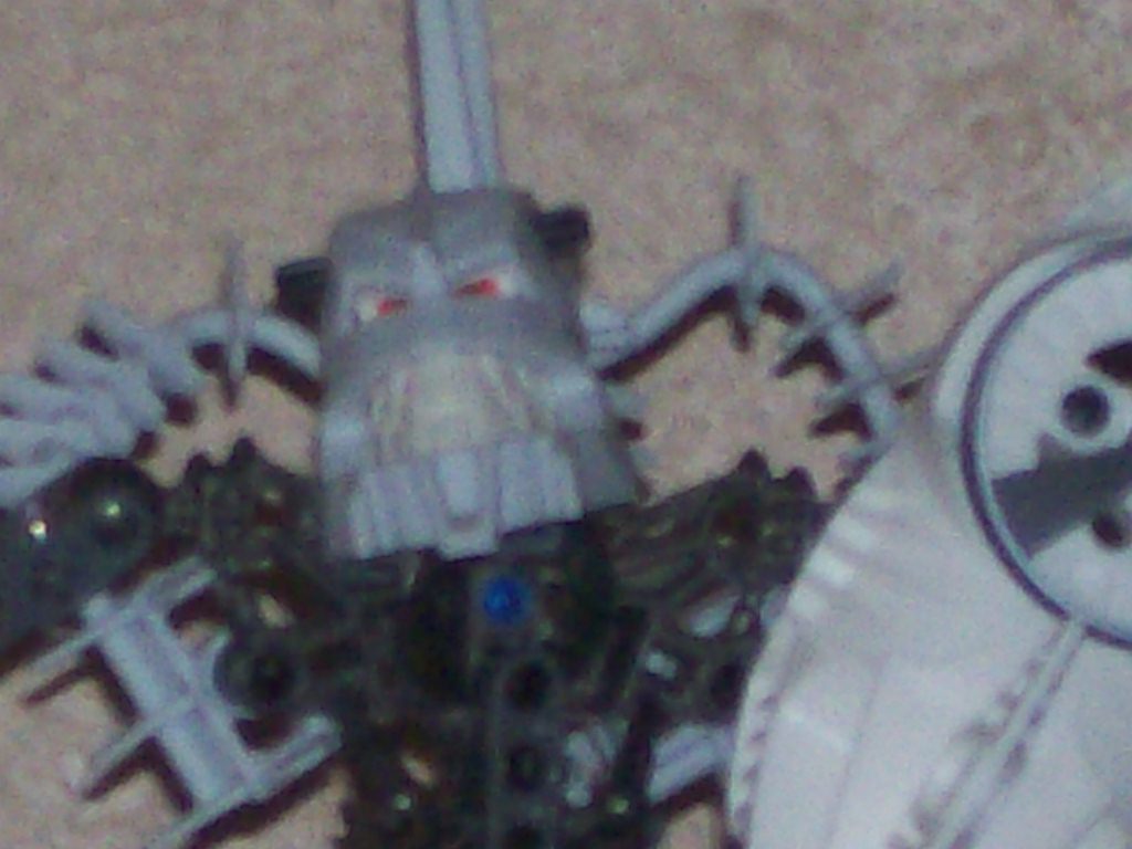 omeduk_close_up.jpg