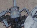 omeduk_close_up.jpg
