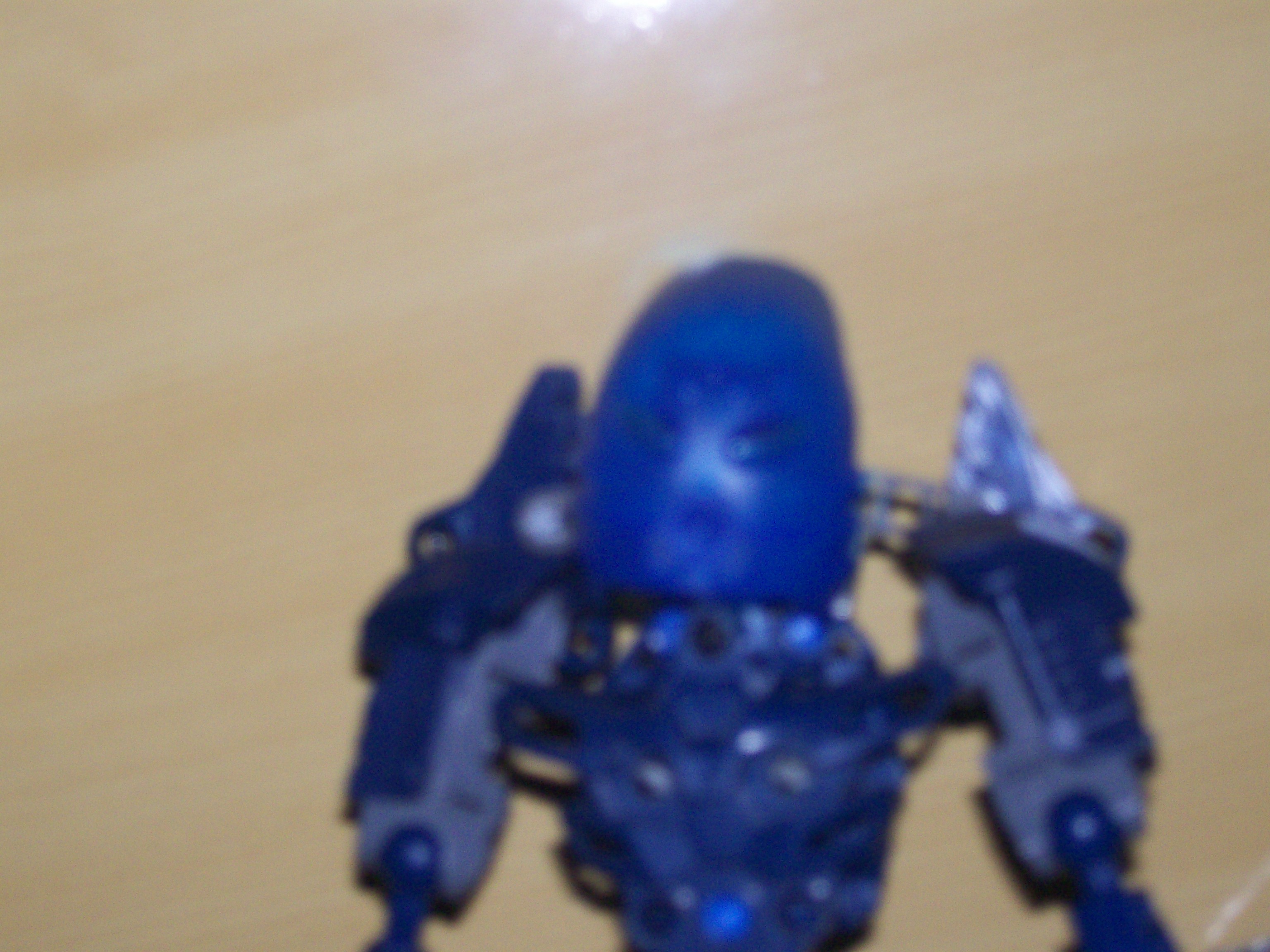 thalaxa_close_up.jpg