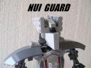 NuiGuard