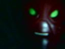kallux_face.jpg