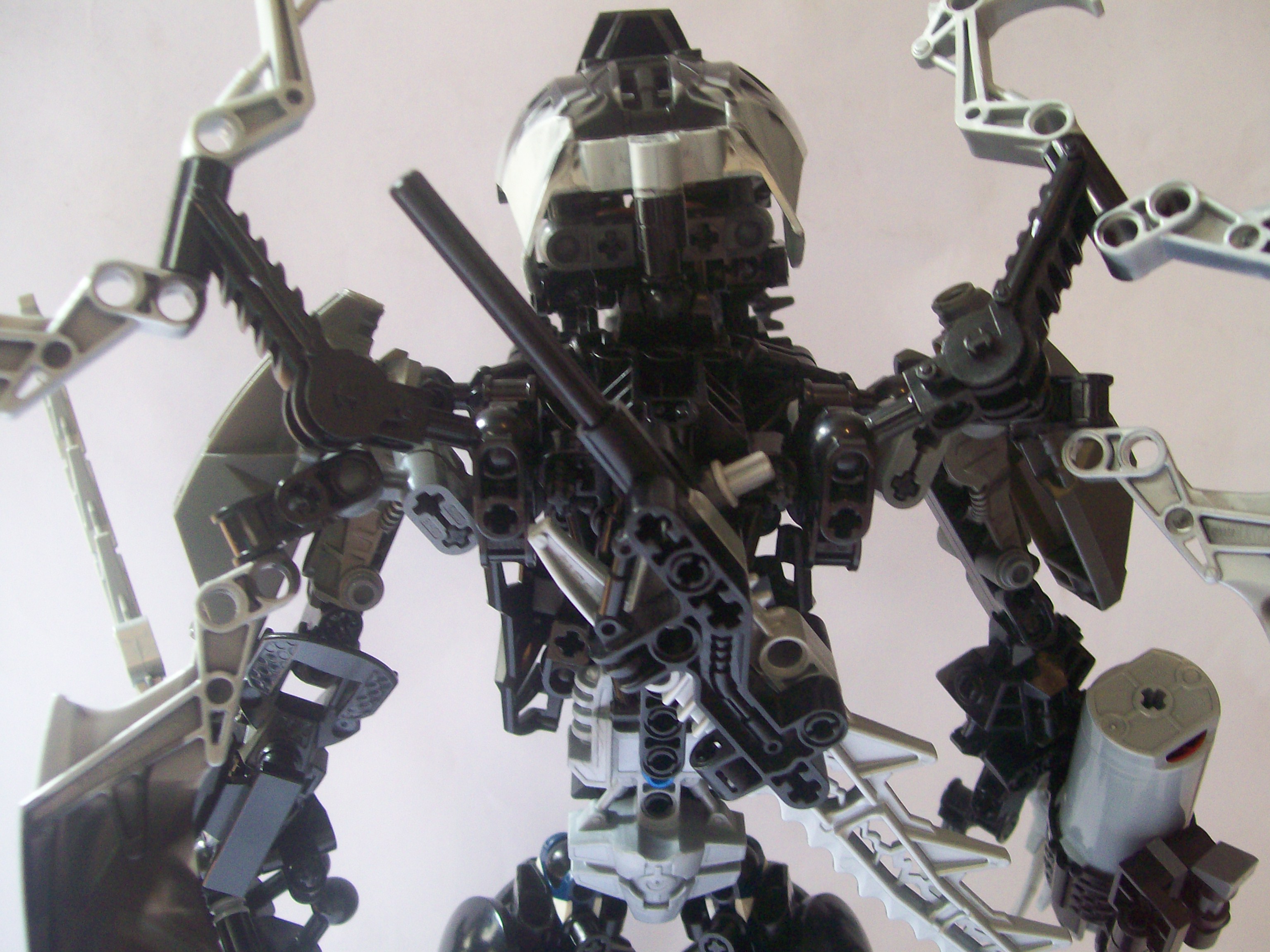 imagem_005.jpg