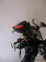 imagem_017.jpg